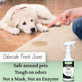 img 1 attached to 🐾 Say Goodbye to Pet Odors with Odorcide 210S-FS: Fresh Scent Ready-to-Use Spray, 32 oz