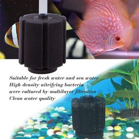 img 1 attached to Quickun Aquarium Sponge Breeding Biochemical