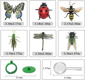 img 2 attached to 🦋 Dragonfly Butterfly Grasshopper Magnifier by JollySweets