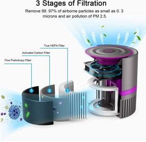 img 1 attached to 🌬️ MEGAWISE H13 Правдивый HEPA Очиститель воздуха для дома спальни небольшой комнаты офиса, 99,97% фильтрации для дыма, пыли, пыльцы, перьев животных, 100% без озона, ночного света, полностью сертифицированный