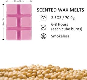 img 1 attached to 🕯️ DERDUFT Wax Melts: Scented Soy Wax Cubes Gift Set for Wax Melts Warmer - 8×2.5oz Variety Pack, Perfect for Birthdays and Anniversaries