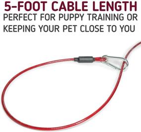 img 1 attached to 🐶 Leashboss 5-Foot Dog and Puppy Training Tie Out Cable (Classic Red)