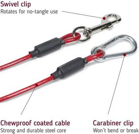 img 3 attached to 🐶 Leashboss 5-Foot Dog and Puppy Training Tie Out Cable (Classic Red)