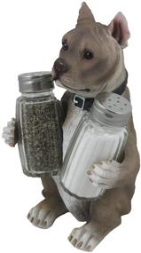 img 3 attached to 🐶 Pit Bull Glass Salt and Pepper Shaker Set: Decorative Holder Figurine for Pitbull Lovers - Ideal Kitchen Table Decor and Unique Gift!