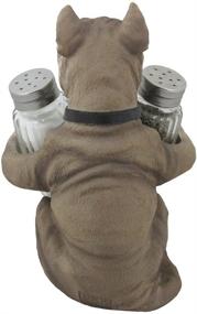 img 2 attached to 🐶 Pit Bull Glass Salt and Pepper Shaker Set: Decorative Holder Figurine for Pitbull Lovers - Ideal Kitchen Table Decor and Unique Gift!