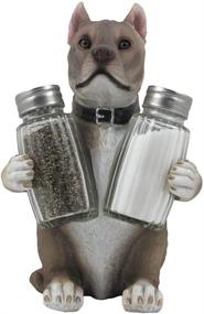 img 4 attached to 🐶 Pit Bull Glass Salt and Pepper Shaker Set: Decorative Holder Figurine for Pitbull Lovers - Ideal Kitchen Table Decor and Unique Gift!