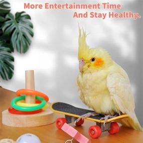 img 3 attached to Parakeets Basketball Skateboard、Bird Toy、Parrot Toy、Small