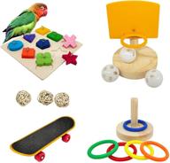 parakeets basketball skateboard、bird toy、parrot toy、small logo