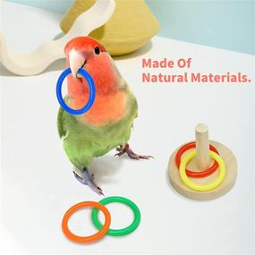 img 1 attached to Parakeets Basketball Skateboard、Bird Toy、Parrot Toy、Small