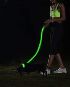 img 2 attached to 🐶 Illumiseen LED Dog Collar USB Rechargeable – Enhancing Pet Safety with Bright & High Visibility Lighted Glow Collar for Night Walking – Weatherproof, Available in 6 Colors & 6 Sizes