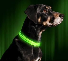 img 3 attached to 🐶 Illumiseen LED Dog Collar USB Rechargeable – Enhancing Pet Safety with Bright & High Visibility Lighted Glow Collar for Night Walking – Weatherproof, Available in 6 Colors & 6 Sizes