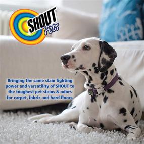 img 1 attached to Shout for Pets Odor and Urine Eliminator: The Ultimate Solution for Removing Puppy & Dog Odors and Stains from Carpets & Rugs