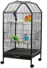 img 4 attached to 🦜 Large Metal Bird Cage with Rolling Stand - Ideal for Conure, Canary, Macaw, Finch, Cockatoo, Budgie, Cockatiels, Parrot - Includes Perches, Catch Tray - Black