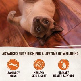 img 2 attached to 🐱 Premium Protein Rich Dry Cat Food Topper - Wellness CORE Simply Shreds, Grain Free, 2.8 oz Pouch (Pack of 12)
