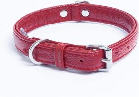 img 2 attached to Leather Collar Padded Double Terrier