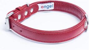 img 3 attached to Leather Collar Padded Double Terrier