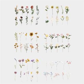 img 3 attached to 🌸 Large Size Flower Sticker Set - NOGAMOGA PET Transparent Floral Decals for Decorative Journaling, 6 Nature Themes Plant Stickers for Scrapbooking, Arts, DIY Crafts, Junk Journals, Resin