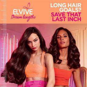 img 2 attached to 💇 L'Oreal Paris Elvive Dream Lengths Shampoo & Conditioner: The Perfect Kit for Long, Damaged Hair!