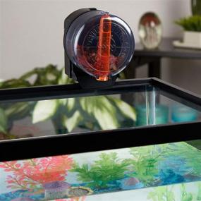 img 3 attached to 🐠 Aqua Culture Daily-Double Automatic Fish Feeder: Convenient Battery-Powered Aquarium Food Dispenser