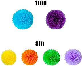 img 2 attached to 🎉 Vibrant 19-Piece Fiesta Party Decoration Set: Colorful Paper Fans, Tissue Paper Pom Poms, Honeycomb Balls, and Circle Dot Garland for Birthday, Wedding, Fiesta, or Mexican Celebration
