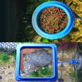 img 1 attached to Ailinda Feeding Floating Suction Aquarium