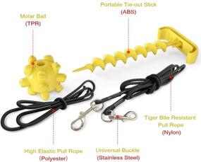 img 1 attached to Durable Dog Tie Out Cable and Stake Set with Chew Toy and Elasticity Chain - Ideal for Camping, Backyard, and Dogs up to 120 lbs