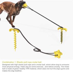 img 2 attached to Durable Dog Tie Out Cable and Stake Set with Chew Toy and Elasticity Chain - Ideal for Camping, Backyard, and Dogs up to 120 lbs