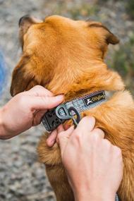 img 3 attached to RESCUEDog Collar with Buckle - Lightweight, Adjustable Safety for Outdoor Use, Durable & Comfortable for Small, Medium, or Large Dogs - Made from Recycled Materials