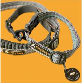 img 1 attached to RESCUEDog Collar with Buckle - Lightweight, Adjustable Safety for Outdoor Use, Durable & Comfortable for Small, Medium, or Large Dogs - Made from Recycled Materials
