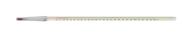 accst03250s precision standard thermometer immersion logo