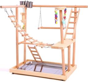 img 4 attached to 🐦 QBLEEV Bird Perch Nest Play Stand Gym | Parrot Playground Playgym Playpen Playstand | Swing Bridge Wood Climb Ladders | Conures, Parakeet, Macaw, African Grey Compatible