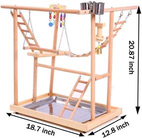 img 3 attached to 🐦 QBLEEV Bird Perch Nest Play Stand Gym | Parrot Playground Playgym Playpen Playstand | Swing Bridge Wood Climb Ladders | Conures, Parakeet, Macaw, African Grey Compatible