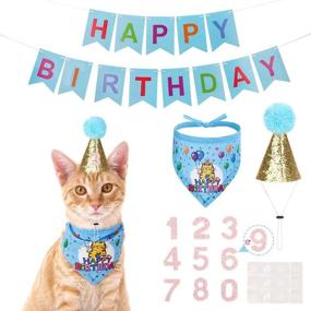img 4 attached to 🎉 EXPAWLORER Cat Birthday Party Supplies Set with Cake Hat, Bandana Scarfs, and Cute Triangle Scarf; Includes Party Hat and Flag Decorations for Kittens and Small Animals