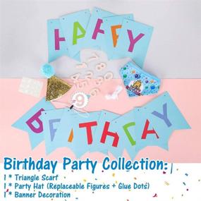 img 1 attached to 🎉 EXPAWLORER Cat Birthday Party Supplies Set with Cake Hat, Bandana Scarfs, and Cute Triangle Scarf; Includes Party Hat and Flag Decorations for Kittens and Small Animals
