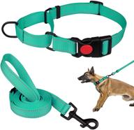 🐶 reflective martingale dog collar and leash set - perfect for small, medium, and large dogs logo