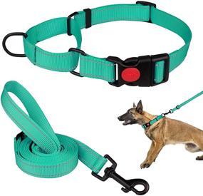 img 4 attached to 🐶 Reflective Martingale Dog Collar and Leash Set - Perfect for Small, Medium, and Large Dogs