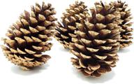 🌲 real pine cone crafts - set of 6 natural pine cones - ideal for diy projects - decorative fillers for vases - approximately 3 inches in height логотип