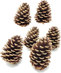 img 1 attached to 🌲 Real Pine Cone Crafts - Set of 6 Natural Pine Cones - Ideal for DIY Projects - Decorative Fillers for Vases - Approximately 3 inches in Height