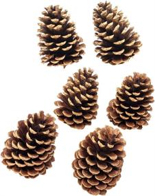 img 3 attached to 🌲 Real Pine Cone Crafts - Set of 6 Natural Pine Cones - Ideal for DIY Projects - Decorative Fillers for Vases - Approximately 3 inches in Height