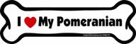 imagine this magnet pomeranian 2 inch logo