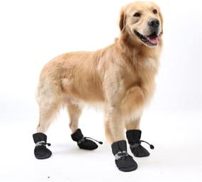 img 3 attached to 🐾 GabeFish Anti-Slip Dog Socks Shoes: Paw Protection for Small to Medium Pets