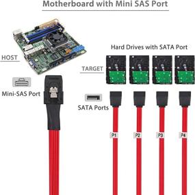 img 2 attached to 🔗 LiNKFOR Internal Mini SAS to SATA Cable - High-Speed SAS Breakout Cable with SATA Forward Breakout - HDD Splitter Cable 2 Packs 3.3 Feet