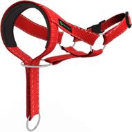 training colorful harness pulling adjustable logo