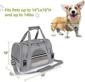 img 3 attached to Airline Approved DUJP Cat Carriers Dog Carrier - Soft-Sided Pet Travel Carrier for Small Medium Cats Dogs up to 14 lbs - Includes Fleece Pad - Ideal for Cats, Puppies, and Small Animals