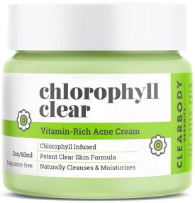 img 4 attached to 🌿 Chlorophyll Acne Cream: Natural Face Moisturizer & Spot Treatment with Tea Tree Oil for Pimples, Scars, Cystic Acne & Blackheads - Prevent Breakouts, Suitable for Normal, Dry, Oily Skin - Night/Day Use