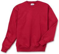 hanes comfortblend ecosmart crewneck sweatshirt_light boys' clothing logo