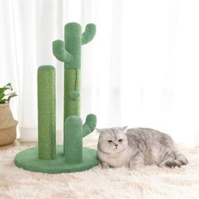 img 2 attached to 🌵 Ultimate Cactus Cat Scratching Post: Kilodor Interactive Toy with Ball & Natural Sisal Scratch Tree for Small Cats