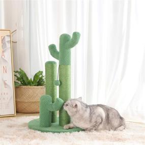 img 1 attached to 🌵 Ultimate Cactus Cat Scratching Post: Kilodor Interactive Toy with Ball & Natural Sisal Scratch Tree for Small Cats