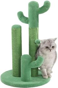 img 4 attached to 🌵 Ultimate Cactus Cat Scratching Post: Kilodor Interactive Toy with Ball & Natural Sisal Scratch Tree for Small Cats