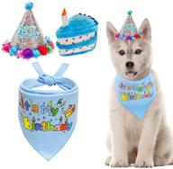 🐶 delightful homimp dog birthday bandana set: includes hat, squeaky cake toy - perfect outfit and gift for dog birthday party, ideal for dogs of all sizes логотип